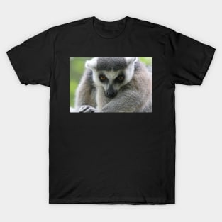 Look Deep Into My Eyes...You Are Getting Sleepy T-Shirt